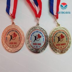huy chuong hc 11