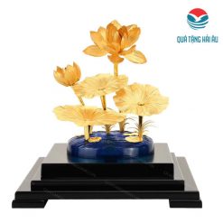 qua tang sep qt 20