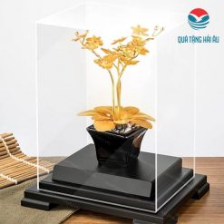 qua tang sep qt 26