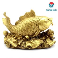 qua tang sep qt 27