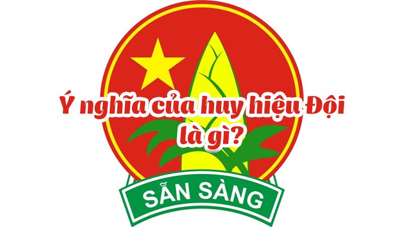 Ý Nghĩa Huy Hiệu Đội Là Gì? | Quà Tặng Hải Âu