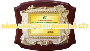 Bảng vàng vinh danh là gì? 5 bang vang vinh danh la gi