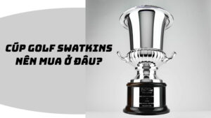 Cúp golf Swatkins nên mua ở đâu? 4 Cúp golf Swatkins