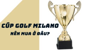Cúp Golf Milano nên mua ở đâu? 5 cúp golf milano nên mua ở đâu
