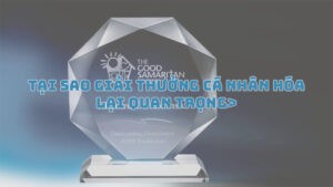 Tại sao giải thưởng cá nhân hóa trong doanh nghiệp lại quan trọng? 2 giai thuong ca nhan hoa trong doanh nghiep