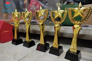 TOP 04+ Địa Chỉ Mua Cúp Lưu Niệm Uy Tín Tại Hà Nội 6 dia chi mua cup luu niem uy tin tai ha noi