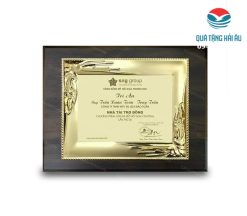 bang-vinh-danh-kim-loai-30