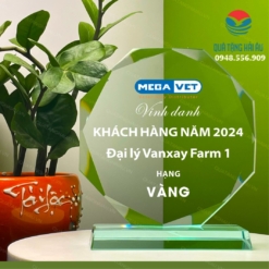 Quà Tặng Doanh Nghiệp Số 1 Việt Nam 70 Kỷ Niệm Chương Thủy Tinh KTT 43