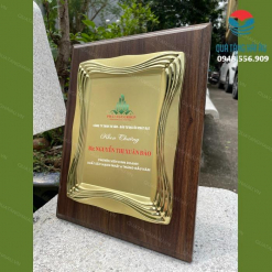 Bảng Vinh Danh Kim Loại BKL 46 3 image 4 compressed